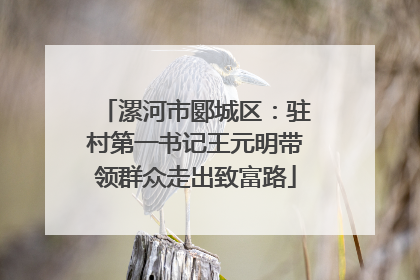 漯河市郾城区：驻村第一书记王元明带领群众走出致富路