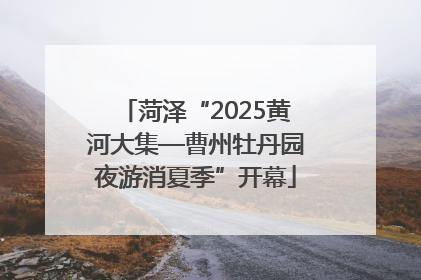 菏泽“2025黄河大集—曹州牡丹园夜游消夏季”开幕