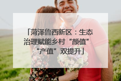 菏泽鲁西新区：生态治理赋能乡村“颜值”“产值”双提升