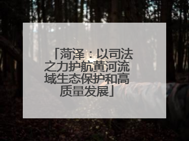 菏泽：以司法之力护航黄河流域生态保护和高质量发展