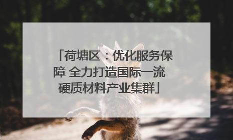 荷塘区：优化服务保障 全力打造国际一流硬质材料产业集群