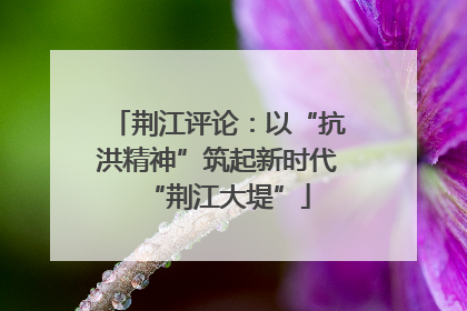 荆江评论：以“抗洪精神”筑起新时代“荆江大堤”