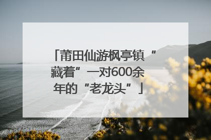 莆田仙游枫亭镇“藏着”一对600余年的“老龙头”
