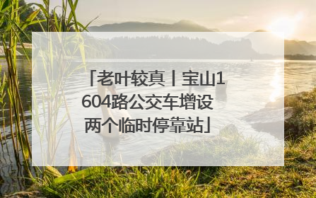 老叶较真丨宝山1604路公交车增设两个临时停靠站