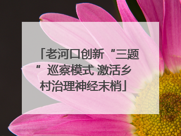 老河口创新“三题”巡察模式 激活乡村治理神经末梢