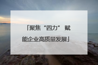 聚焦“四力” 赋能企业高质量发展