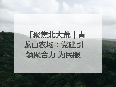聚焦北大荒｜青龙山农场：党建引领聚合力 为民服务践初心