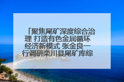 聚焦尾矿深度综合治理 打造有色金属循环经济新模式 张金良一行调研栾川县尾矿库综合治理工作