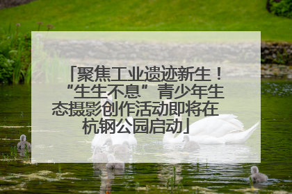 聚焦工业遗迹新生！“生生不息”青少年生态摄影创作活动即将在杭钢公园启动