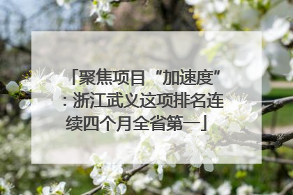 聚焦项目“加速度”：浙江武义这项排名连续四个月全省第一