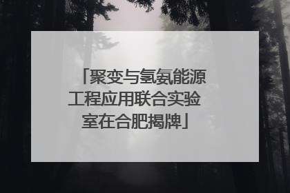 聚变与氢氨能源工程应用联合实验室在合肥揭牌