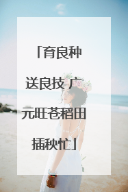 育良种 送良技 广元旺苍稻田插秧忙