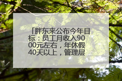 胖东来公布今年目标：员工月收入9000元左右，年休假40天以上，管理层人均分配70万元