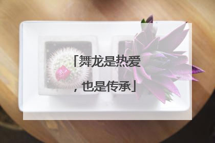 舞龙是热爱，也是传承