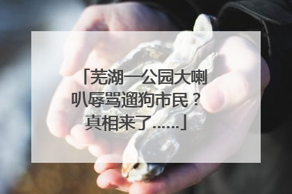 芜湖一公园大喇叭辱骂遛狗市民？真相来了……