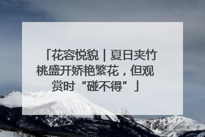 花容悦貌｜夏日夹竹桃盛开娇艳繁花，但观赏时“碰不得”