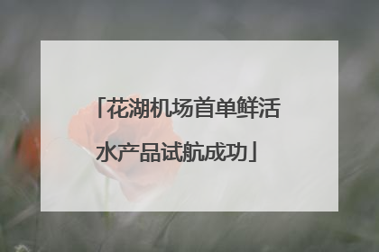 花湖机场首单鲜活水产品试航成功