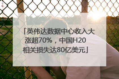 英伟达数据中心收入大涨超70%，中国H20相关损失达80亿美元