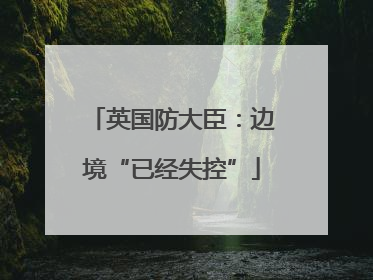 英国防大臣：边境“已经失控”