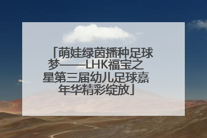 萌娃绿茵播种足球梦——LHK福宝之星第三届幼儿足球嘉年华精彩绽放
