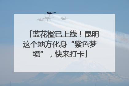 蓝花楹已上线！昆明这个地方化身“紫色梦境”，快来打卡