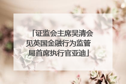 证监会主席吴清会见英国金融行为监管局首席执行官亚迪