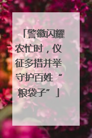 警徽闪耀农忙时，仪征多措并举守护百姓“粮袋子”