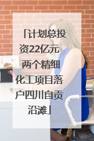 计划总投资22亿元 两个精细化工项目落户四川自贡沿滩