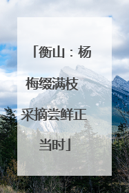 衡山：杨梅缀满枝 采摘尝鲜正当时