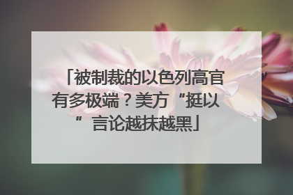 被制裁的以色列高官有多极端？美方“挺以”言论越抹越黑