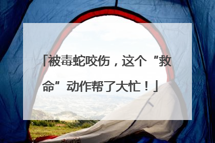 被毒蛇咬伤，这个“救命”动作帮了大忙！