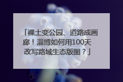 裸土变公园、道路成画廊！淄博如何用100天改写路域生态版图？