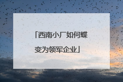 西南小厂如何蝶变为领军企业