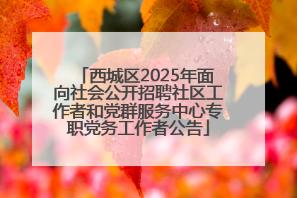 西城区2025年面向社会公开招聘社区工作者和党群服务中心专职党务工作者公告