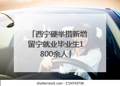 西宁硬举措新增留宁就业毕业生1800余人