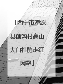 西宁市湟源县前沟村高山大白杜鹃走红网络