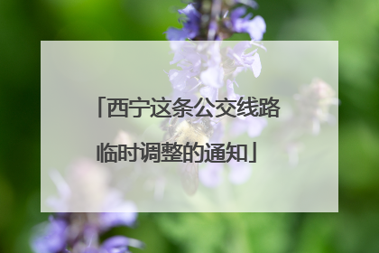 西宁这条公交线路临时调整的通知