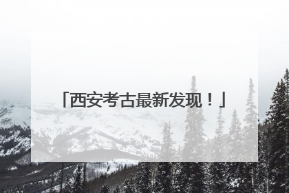 西安考古最新发现！