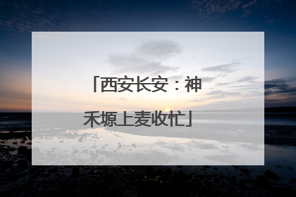 西安长安：神禾塬上麦收忙