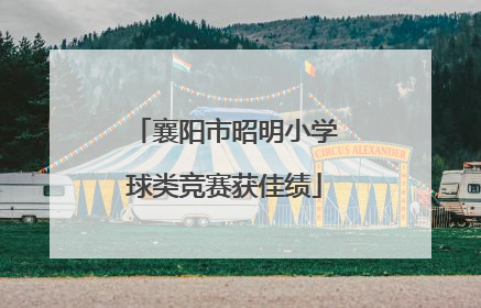 襄阳市昭明小学球类竞赛获佳绩
