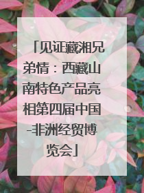见证藏湘兄弟情：西藏山南特色产品亮相第四届中国-非洲经贸博览会