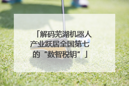 解码芜湖机器人产业跃居全国第七的“数智税钥”