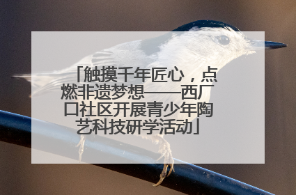 触摸千年匠心，点燃非遗梦想——西厂口社区开展青少年陶艺科技研学活动