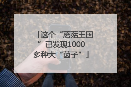 这个“蘑菇王国”已发现1000多种大“菌子”