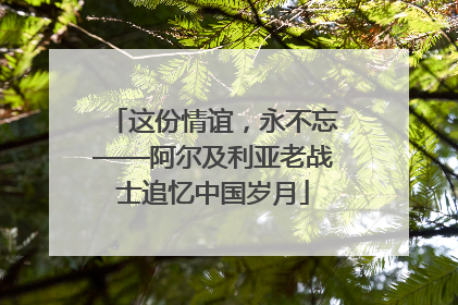 这份情谊，永不忘——阿尔及利亚老战士追忆中国岁月
