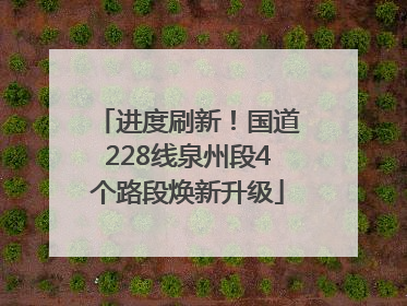 进度刷新！国道228线泉州段4个路段焕新升级
