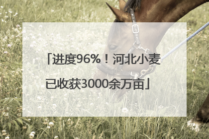 进度96%！河北小麦已收获3000余万亩
