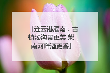 连云港灌南：古镇汤沟景更美 柴南河畔酒更香