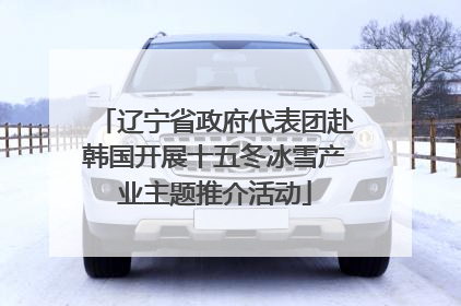 辽宁省政府代表团赴韩国开展十五冬冰雪产业主题推介活动