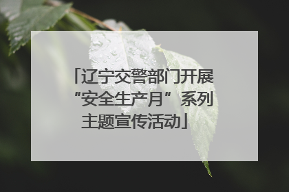 辽宁交警部门开展“安全生产月”系列主题宣传活动